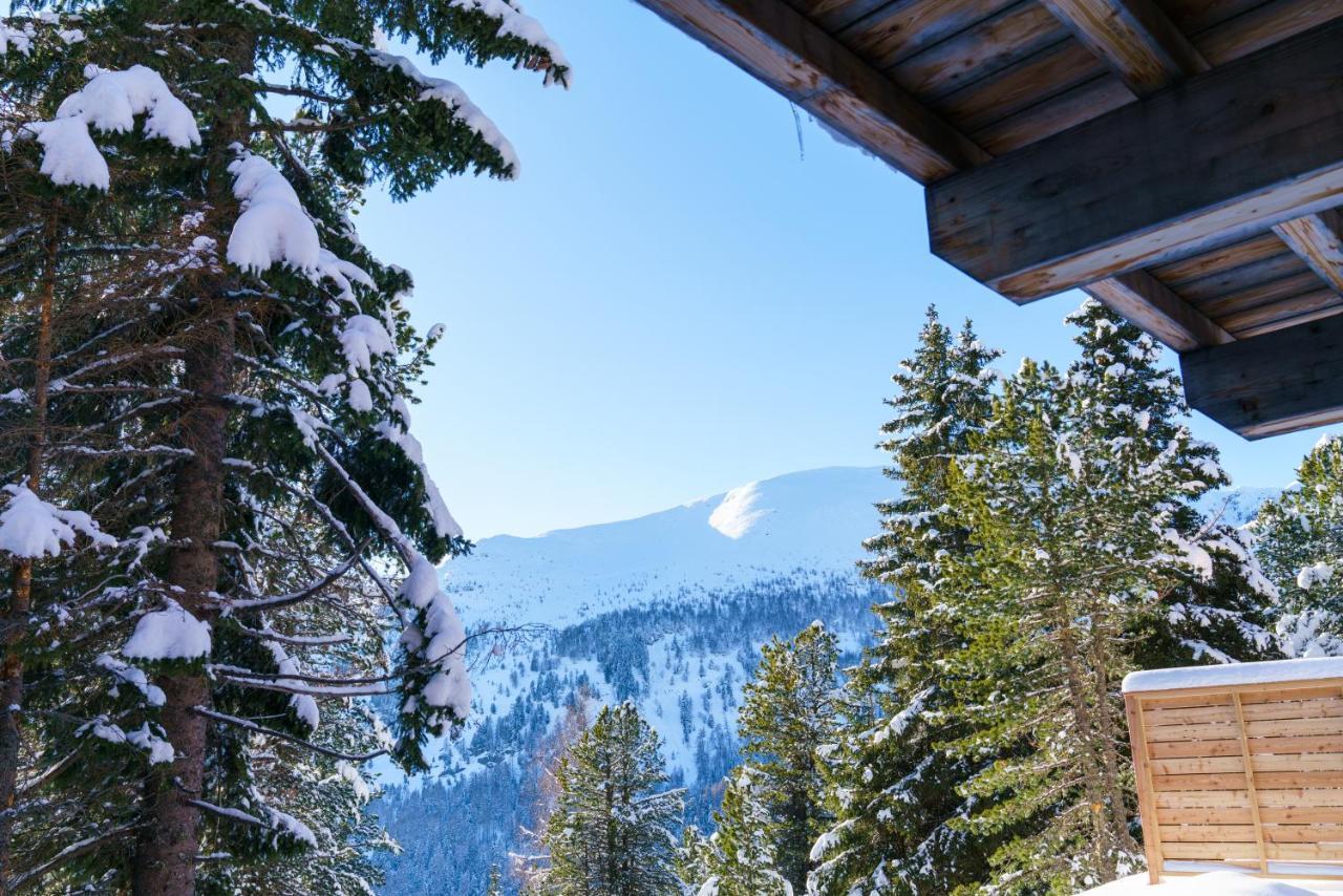 Luxalps- Turrach Alm Chalets Nr 1-4 Gruensee- Sauna- Skifahren- Wandern- Natur Turracher Hohe Esterno foto